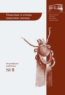 Обложка: Опасные и очень опасные соседи