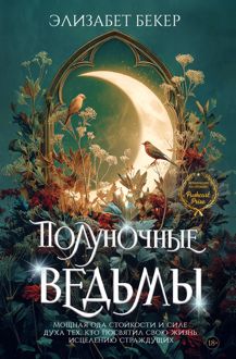 Обложка: Полуночные ведьмы