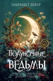 Обложка: Полуночные ведьмы