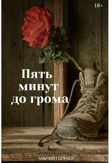 Обложка: Пять минут до грома