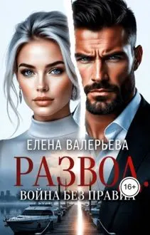 Обложка: Развод. Война без правил