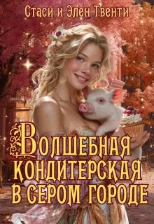 Обложка: Волшебная кондитерская в сером городе