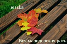 Обложка: Вся мародерская рать