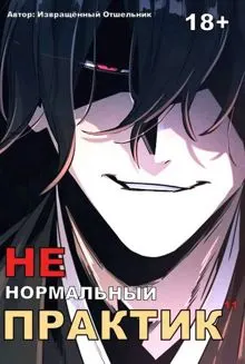 Обложка: Ненормальный практик 11