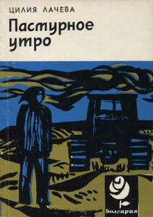 Обложка: Пасмурное утро