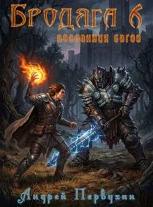 Обложка: Бродяга 6. Посланник богов