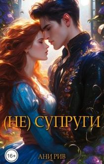 Обложка: (Не) Супруги