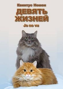 Обложка: Девять жизней Je ne vu