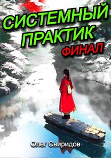 Обложка: Системный практик. Финал