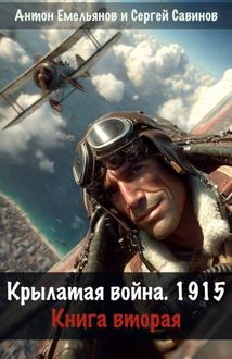 Обложка: Крылатая война 1915. Книга 2