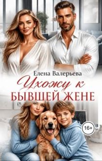 Обложка: Ухожу к бывшей жене