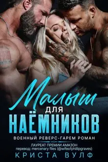 Обложка: Малыш для наемников