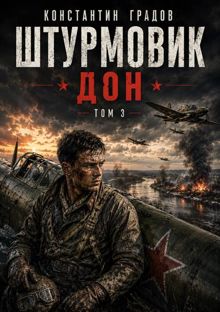 Обложка: Штурмовик. Дон.