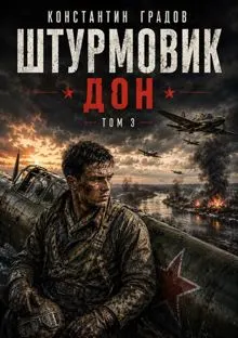 Обложка: Штурмовик. Дон.