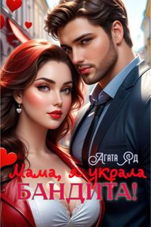 Обложка: Мама, я украла бандита!