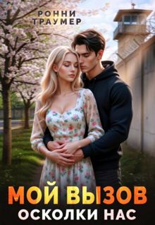 Обложка: Мой вызов. Осколки нас