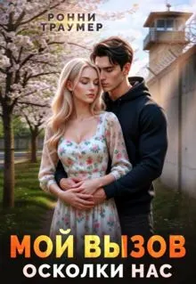 Обложка: Мой вызов. Осколки нас