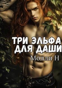 Обложка: Три эльфа для Даши