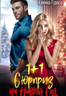Обложка: 1 + 1. Сюрприз на Новый год