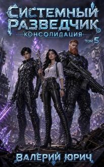 Обложка: Системный разведчик. Консолидация. Том 5