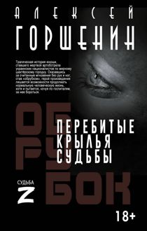 Обложка: Перебитые крылья судьбы
