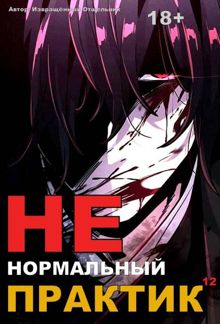 Обложка: Ненормальный практик 12. Финал