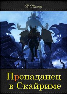 Обложка: Пропаданец в Скайриме