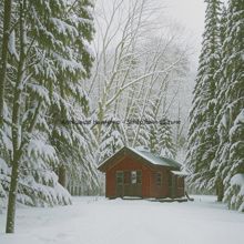 Обложка: Замёрзшие во тьме.