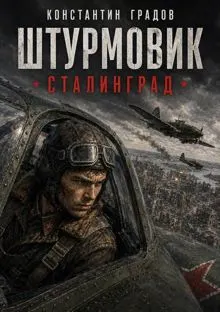 Обложка: Штурмовик. Сталинград