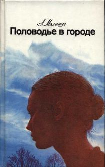 Обложка: Половодье в городе
