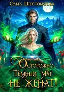 Обложка: Осторожно, темный маг не женат!