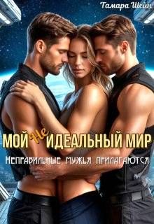 Обложка: Мой (не)идеальный мир. Неправильные мужья прилагаются