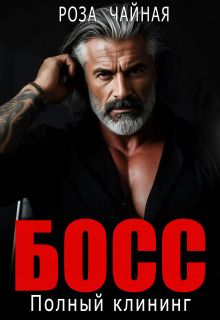 Обложка: Босс. Полный клининг