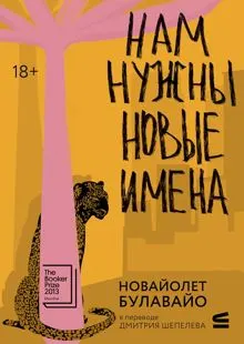Обложка: Нам нужны новые имена