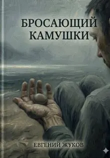 Обложка: Бросающий камушки