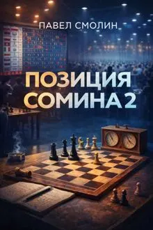 Обложка: Позиция Сомина 2