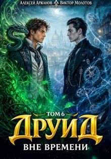 Обложка: Друид. Вне времени