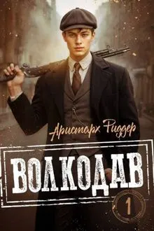 Обложка: Волкодав