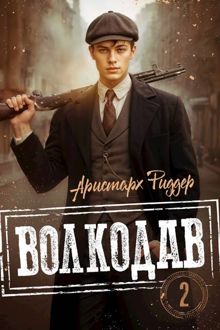 Обложка: Волкодав 2
