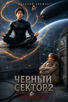 Обложка: Чёрный сектор 2