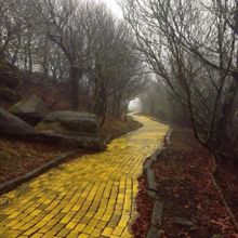 Обложка: Дорога из жёлтого кирпича