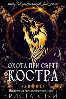 Обложка: Охота при свете костра