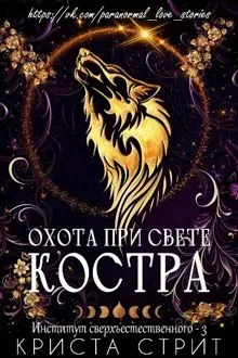 Обложка: Охота при свете костра