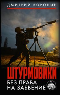 Обложка: Штурмовики. Без права на забвение