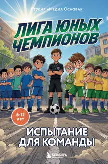 Обложка: Испытание для команды