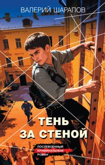 Обложка: Тень за стеной