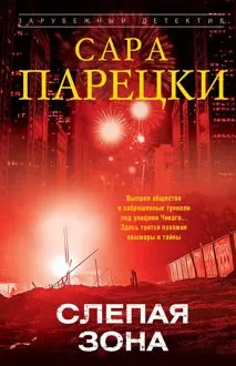 Обложка: Слепая зона