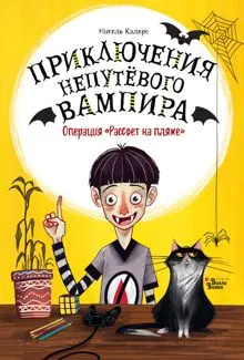 Обложка: Операция «Рассвет на пляже»