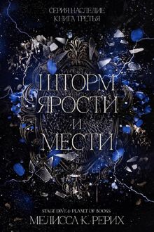 Обложка: Шторм ярости и мести