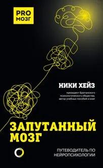Обложка: Запутанный мозг. Путеводитель по нейропсихологии